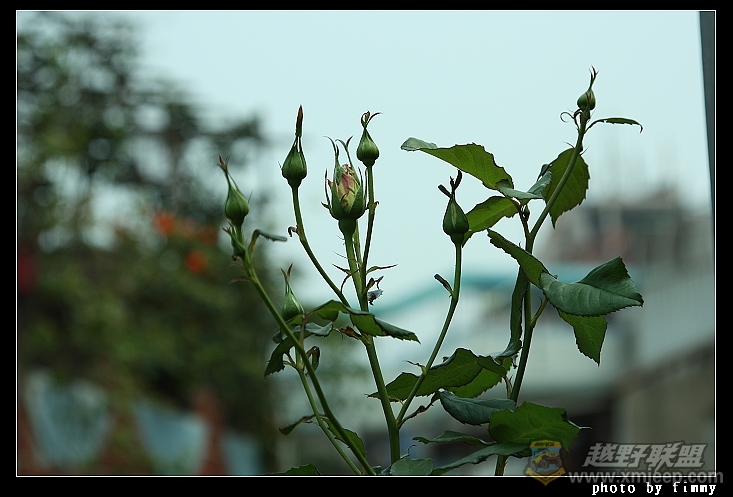 IMG_7686.JPG