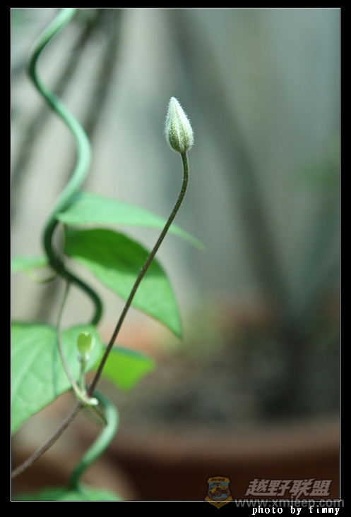 IMG_7683.JPG
