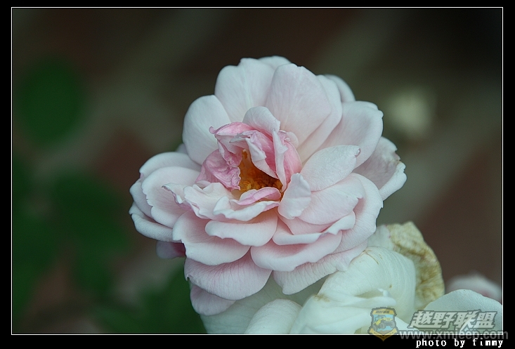 IMG_7715.JPG
