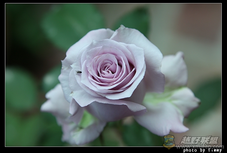IMG_7724a.jpg