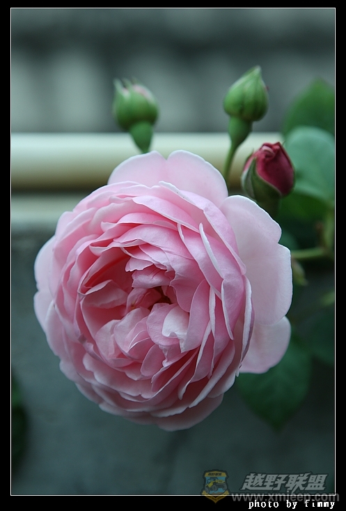 IMG_7755.JPG