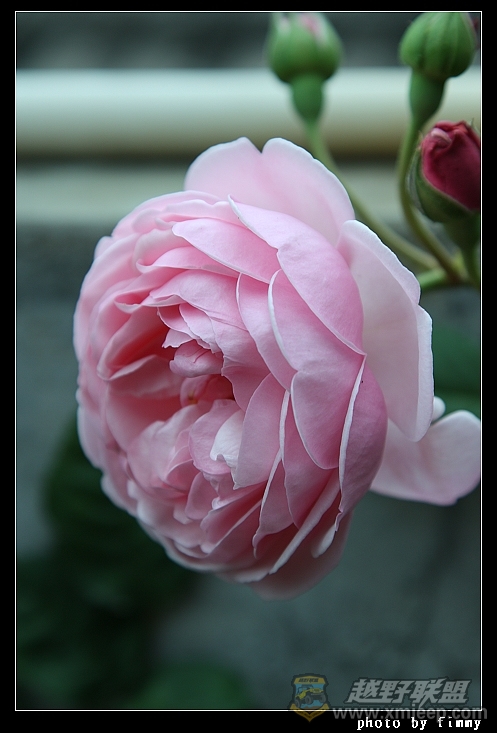 IMG_7758.JPG