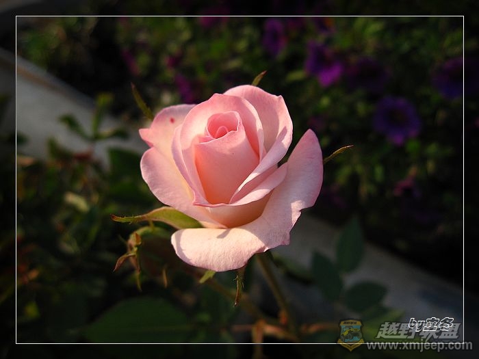 nEO_IMG_IMG_1025.jpg
