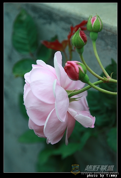IMG_7837.JPG
