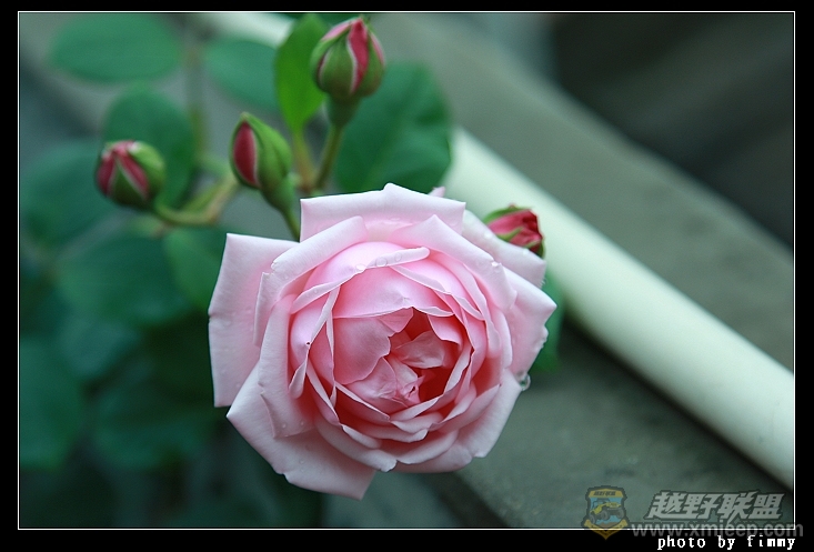 IMG_7859.JPG
