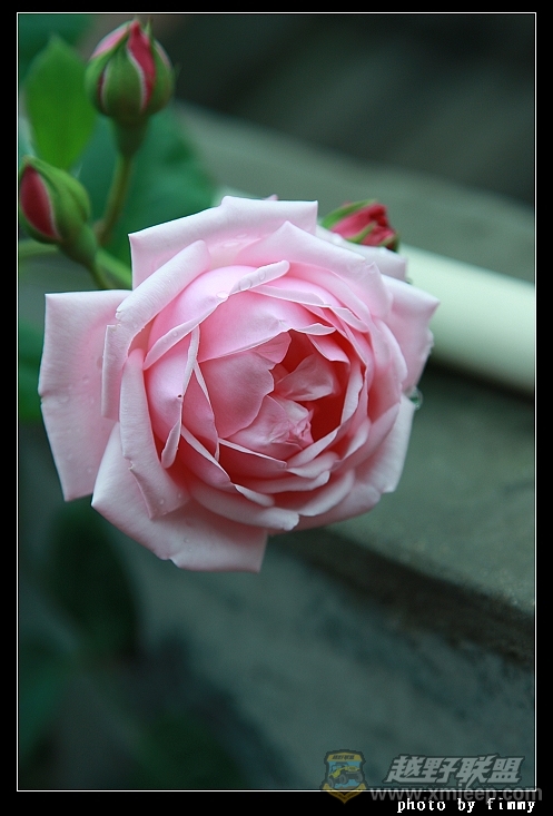 IMG_7860.JPG