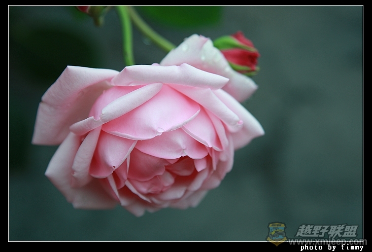 IMG_7862.JPG