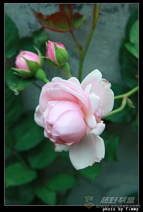 IMG_7875.JPG