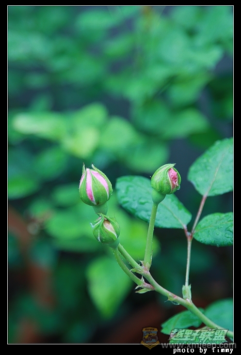 IMG_7899.JPG