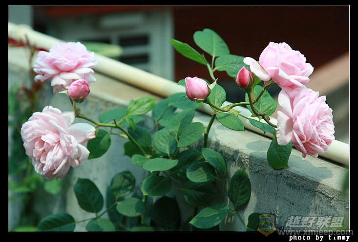 IMG_7922.JPG