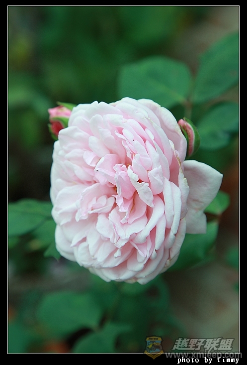 IMG_7964.JPG
