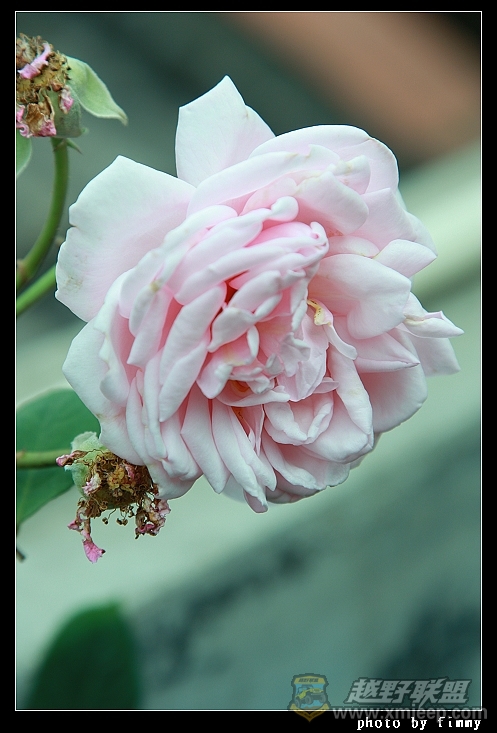 IMG_7974.JPG