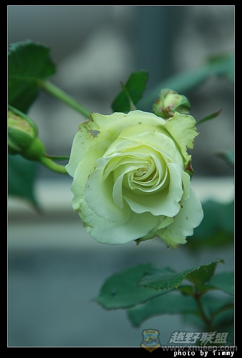 IMG_8007.JPG