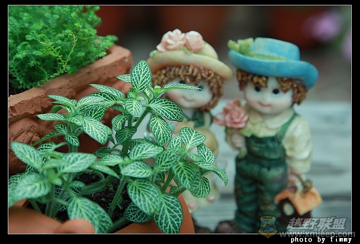 IMG_8037a.jpg