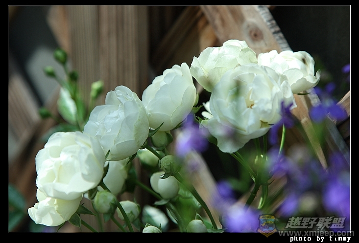 IMG_8069a.jpg