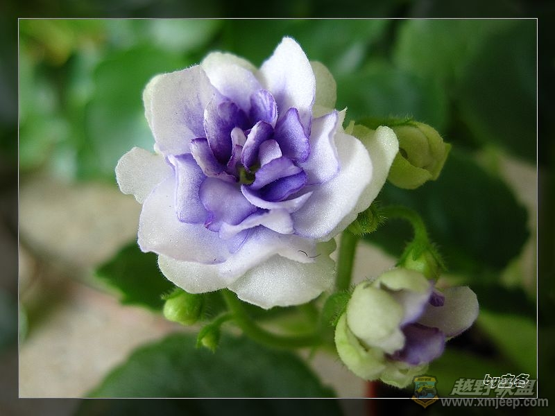 nEO_IMG_IMG_1091.jpg