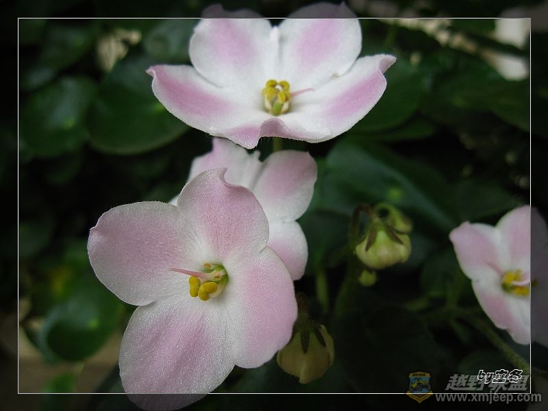 nEO_IMG_IMG_1251.jpg