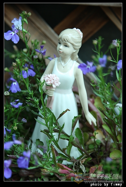 IMG_8096.JPG