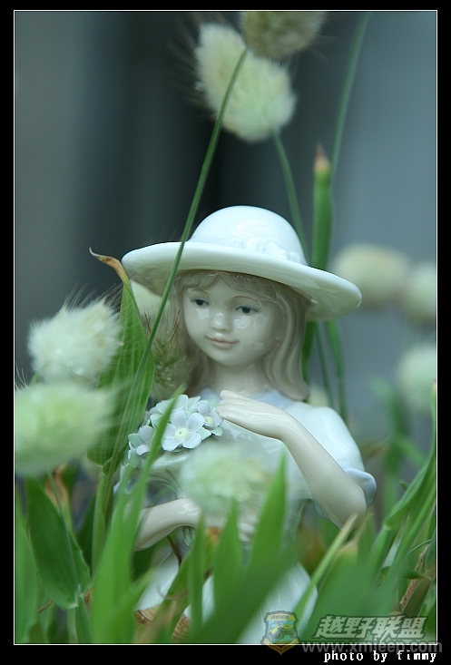 IMG_8098.JPG