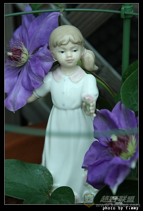 IMG_8101.JPG