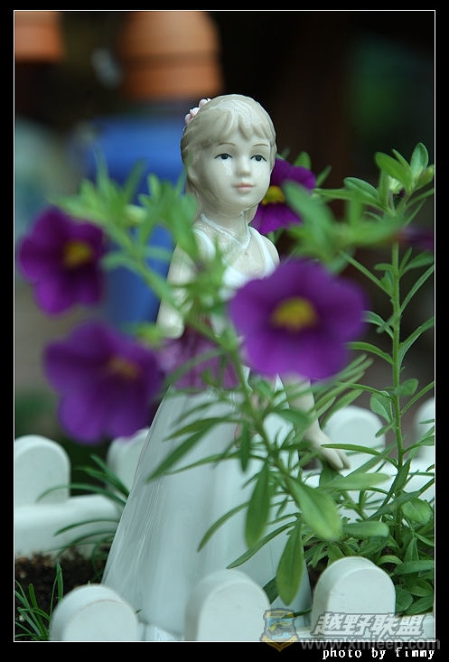 IMG_8116.JPG