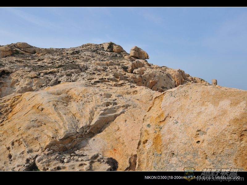 DSC_1924.jpg
