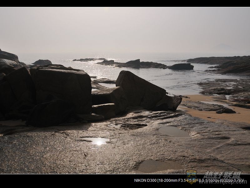 DSC_2131.jpg