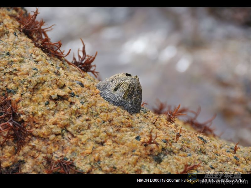 DSC_2167.jpg