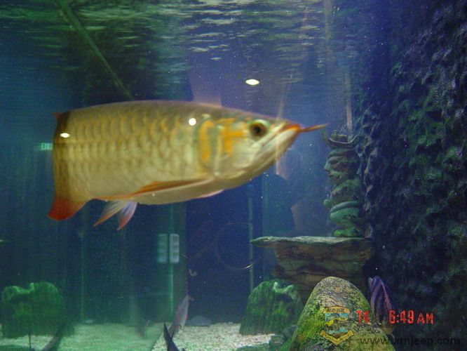 DSC00151_С.jpg