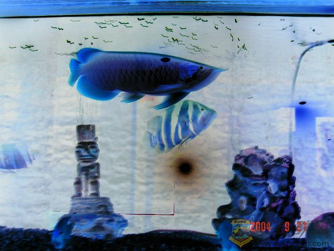 DSC03740_С.jpg