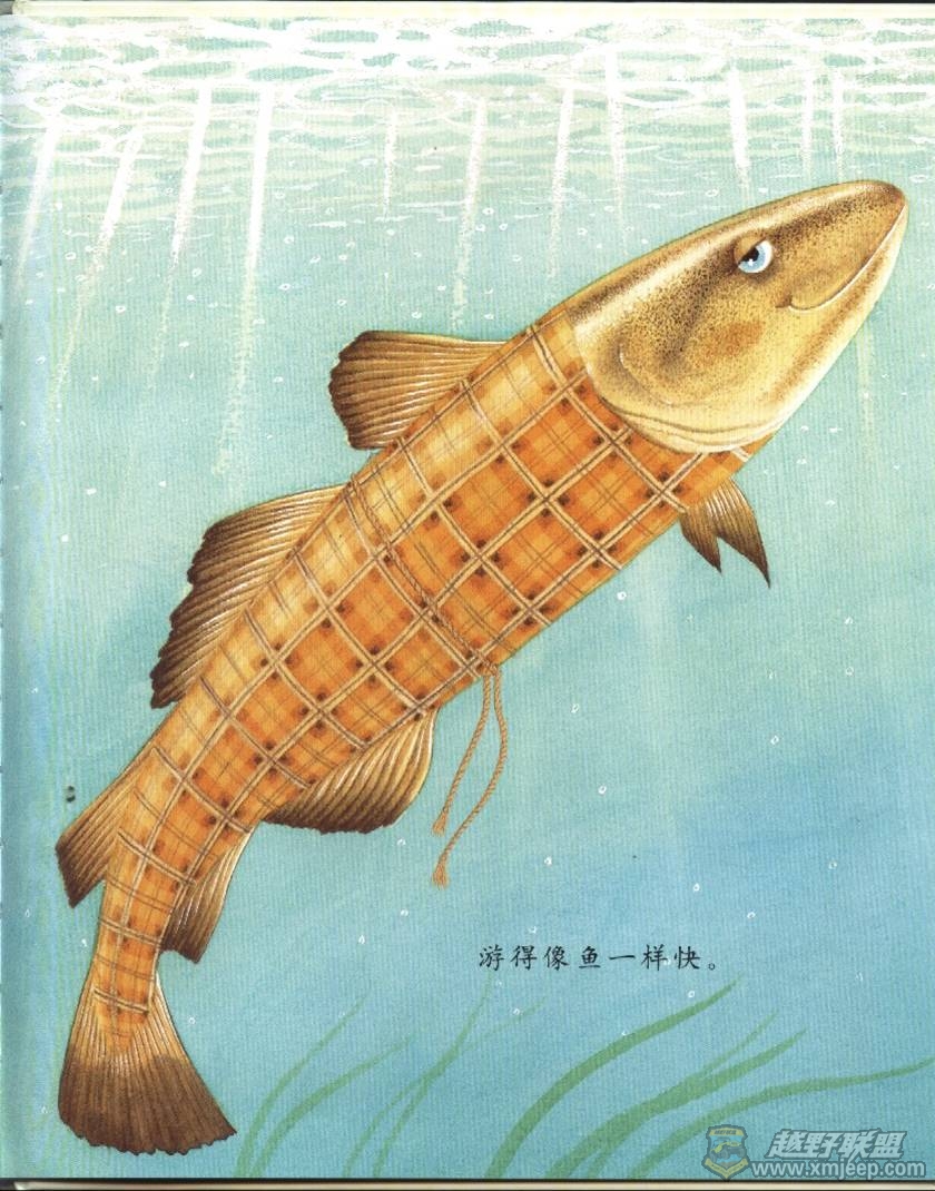 ͼƬ9.jpg