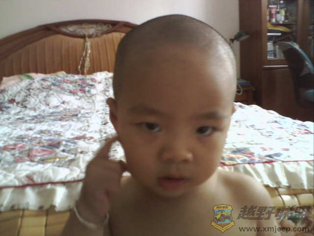 0802113200.jpg
