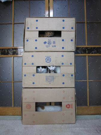9900361.bmp