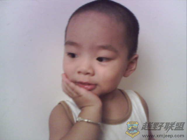 0826113301.jpg