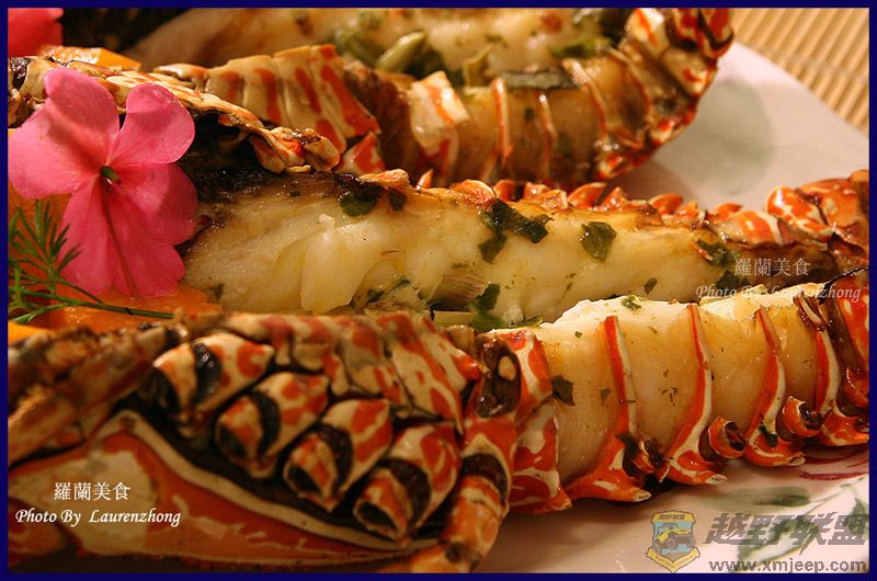 Lobster-4.jpg