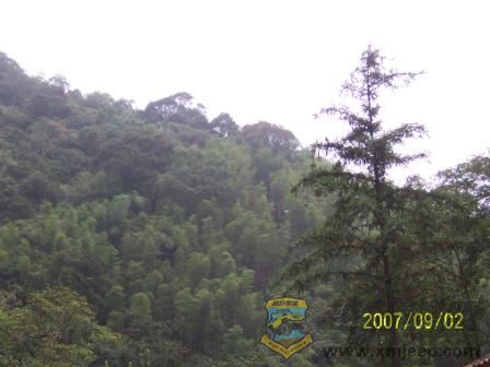 100_2335.JPG