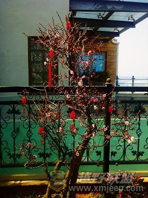 2011-02-04 11-41-24.jpg