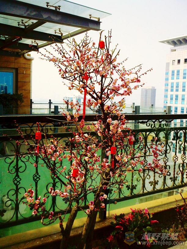 2011-02-07 12-34-27.jpg
