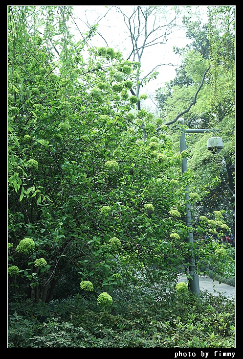 IMG_2886.jpg