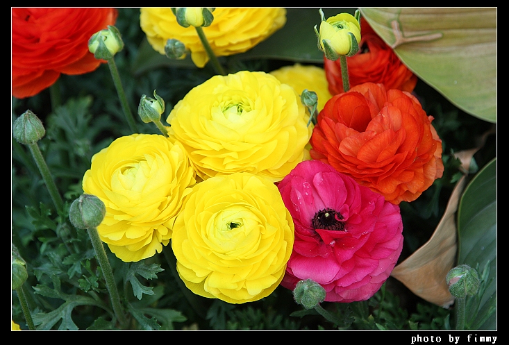 IMG_3260.jpg