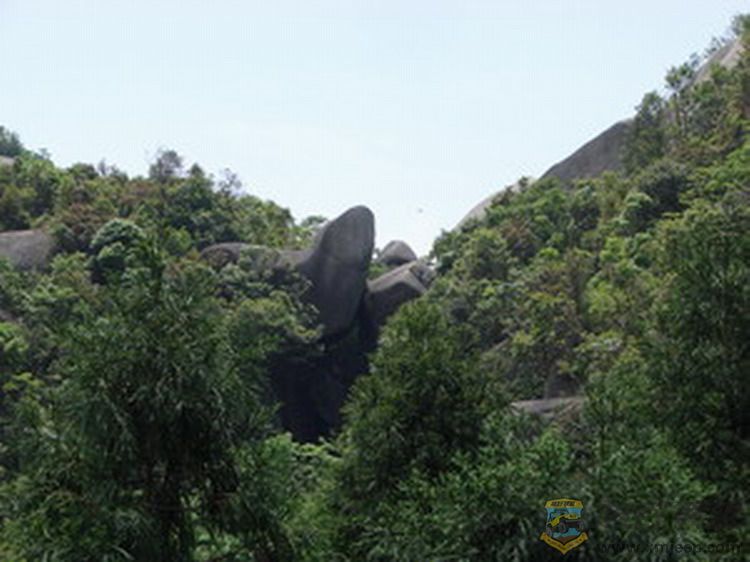 ʨDSC00249.JPG
