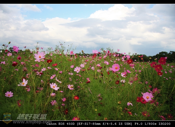 IMG_1748a.jpg