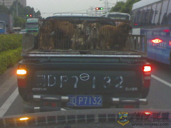 20070911514_С.jpg