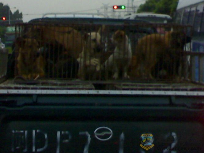 20070911516_С.jpg