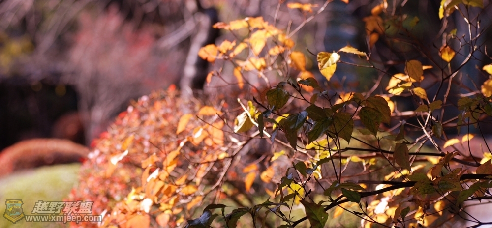 nEO_IMG_DSC_0138.jpg