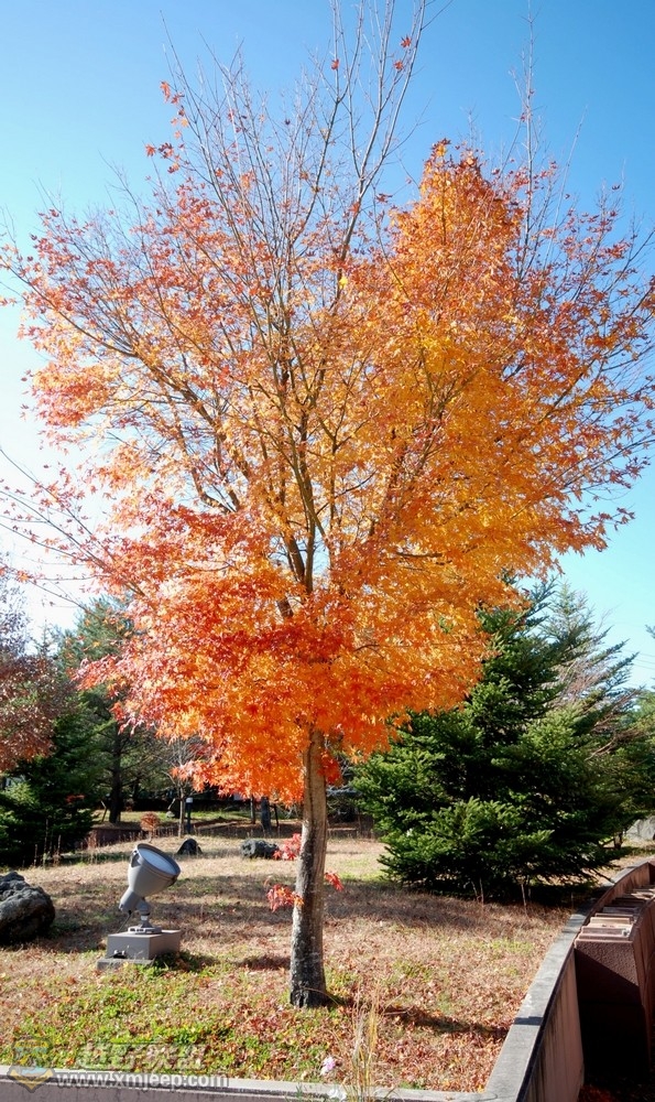 nEO_IMG_DSC_0160.jpg