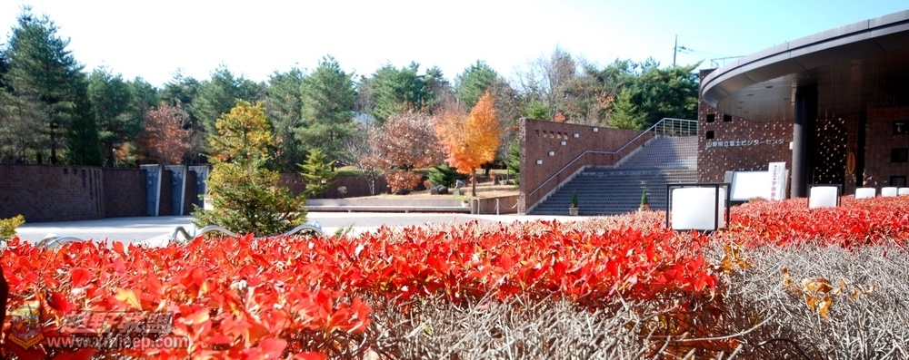 nEO_IMG_DSC_01570.jpg