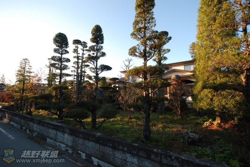 nEO_IMG_DSC_0213.jpg
