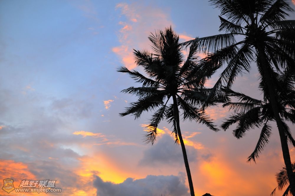 DSC_2175.jpg