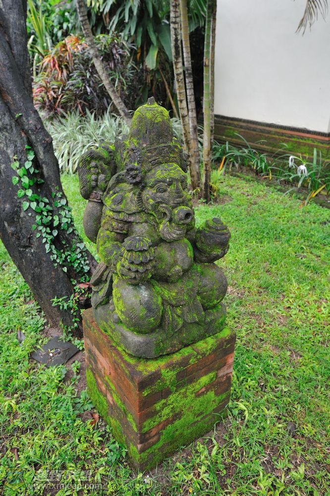 DSC_2373.jpg